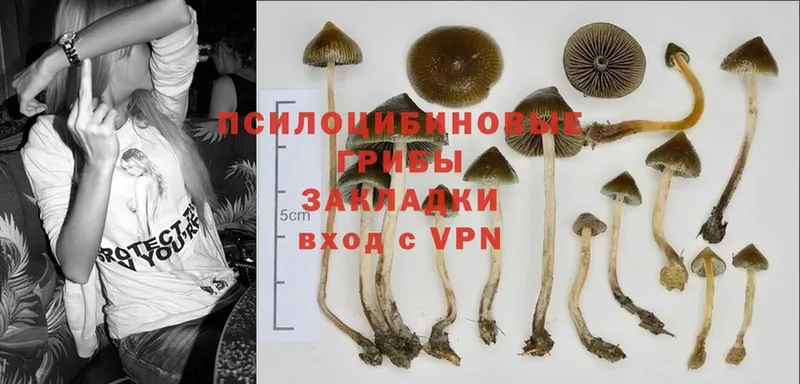 Галлюциногенные грибы MAGIC MUSHROOMS  Козьмодемьянск 